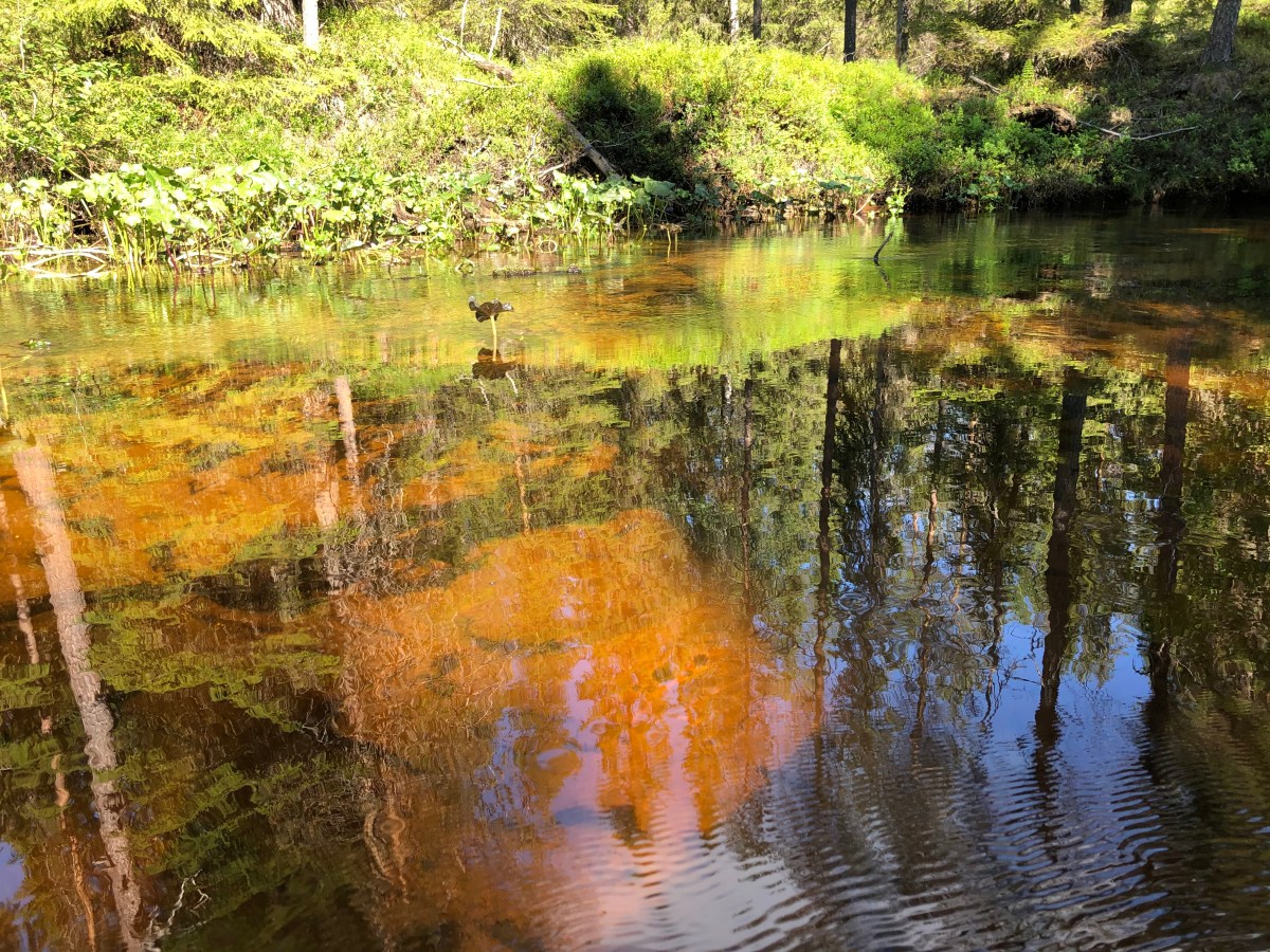 Vuoden 2023 toimintasuunnitelma ja vuoden 2022 vuosikertomus&nbsp;julkaistu