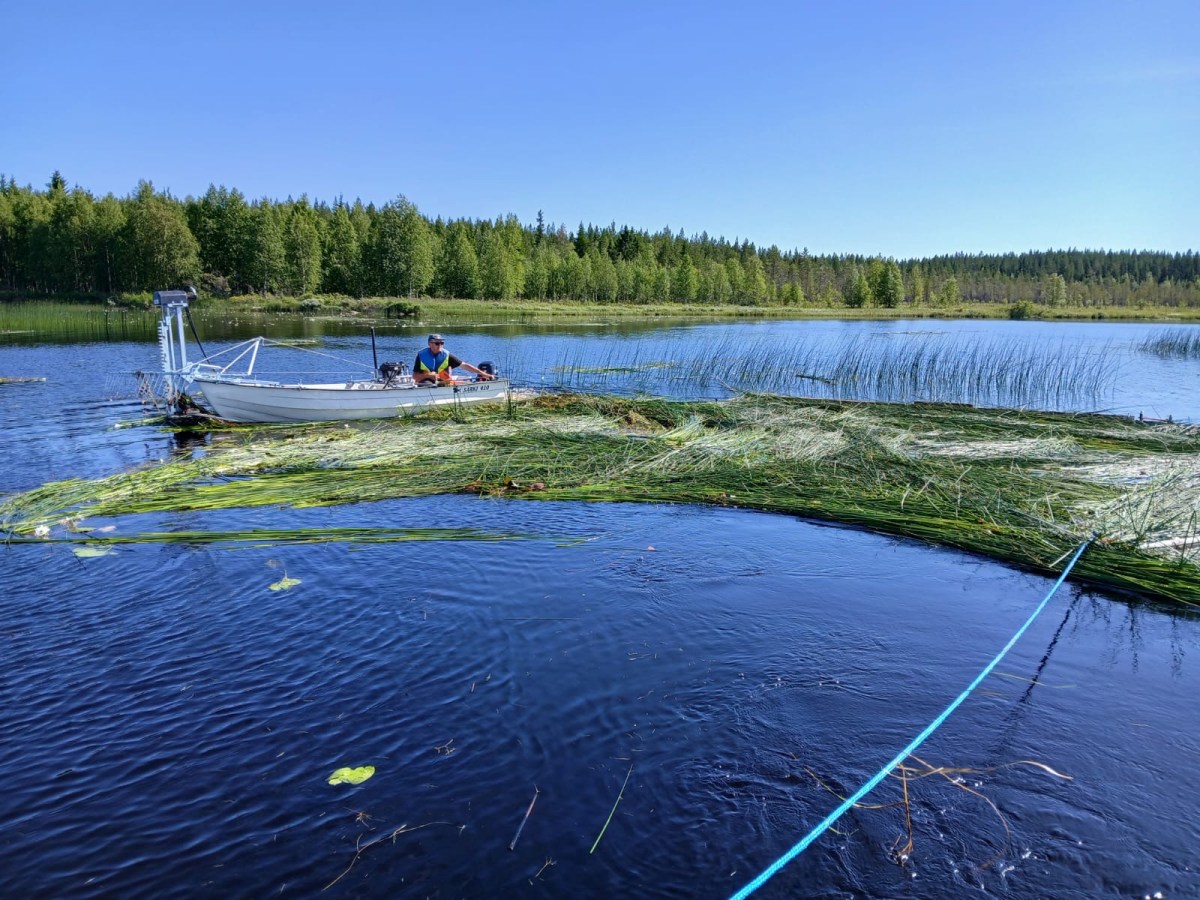 Kesän 2025 kuulumisia
